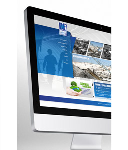 Demir Export Web